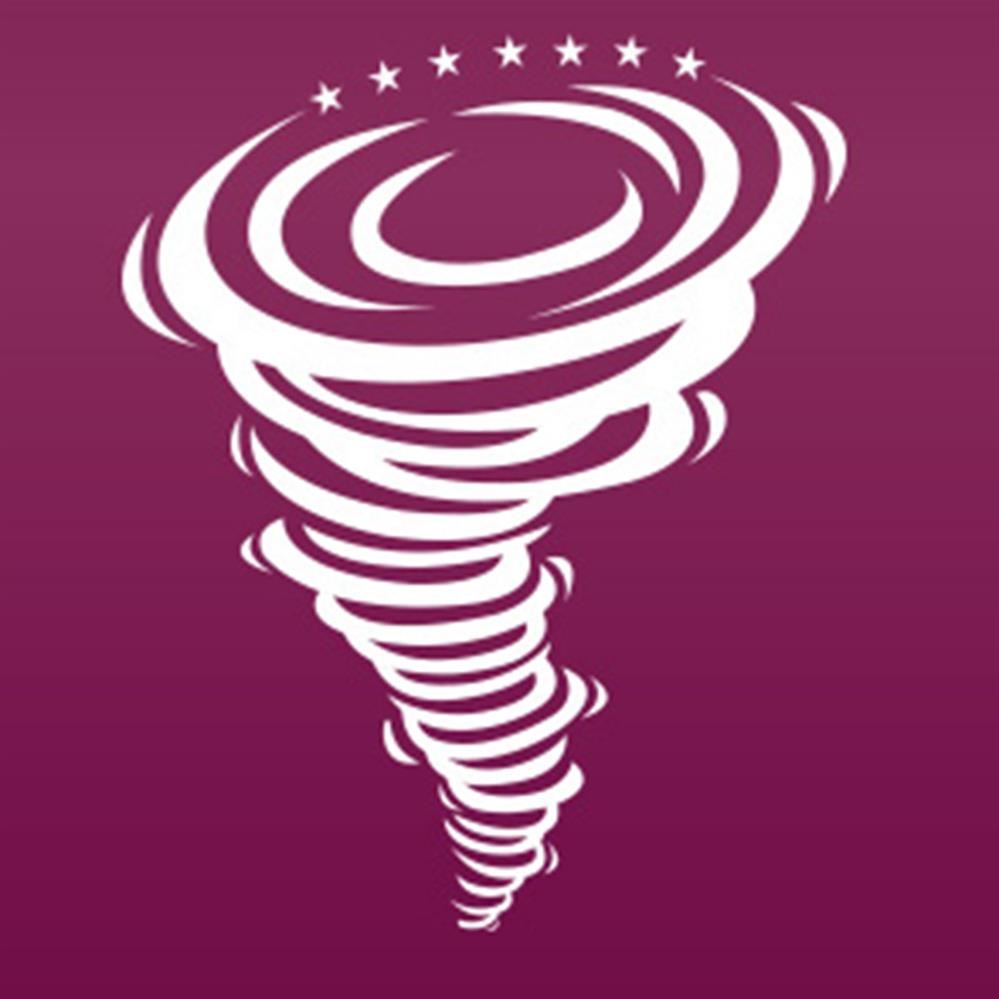 Wilson logo